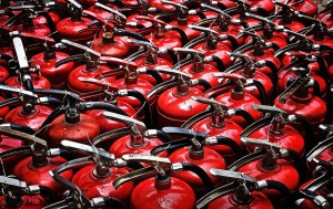 Photo by Mr. Beaver//Creative Commons