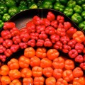 veggies